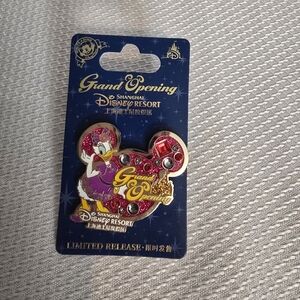 🏰 Disney Rare Limited Pin